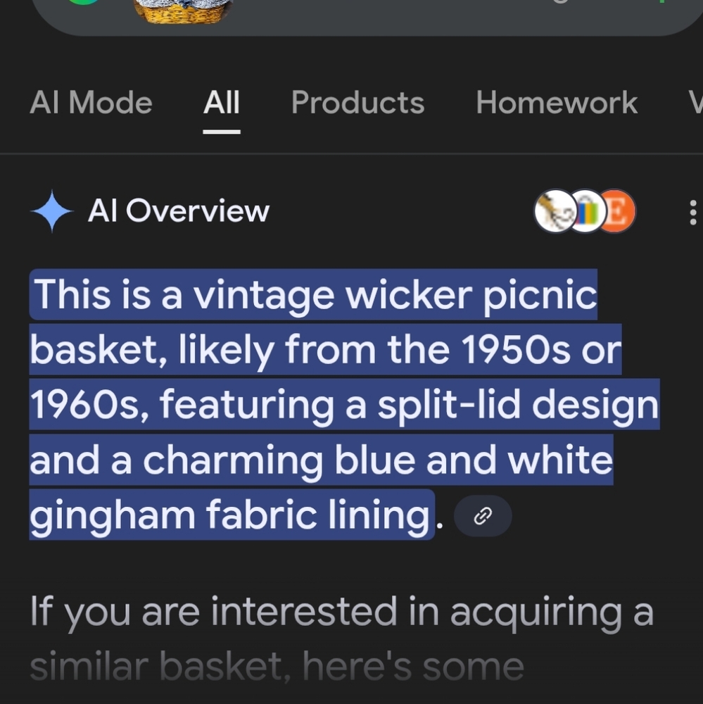 Vintage 1950s Wicker Picnic Basket w/Blue Gingham Lining double lided - Picture 16 of 16